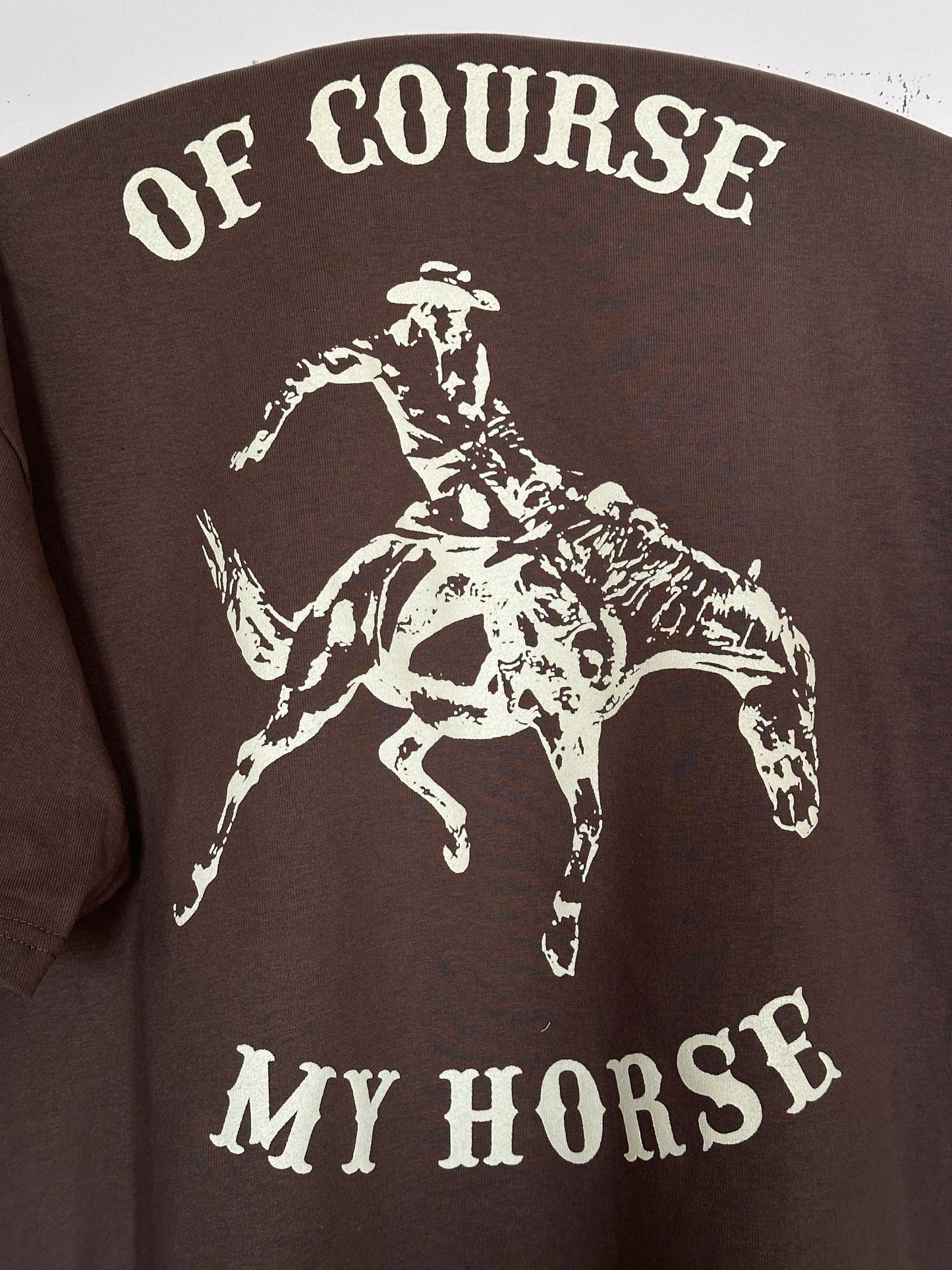 OF COURSE MY HORSE
