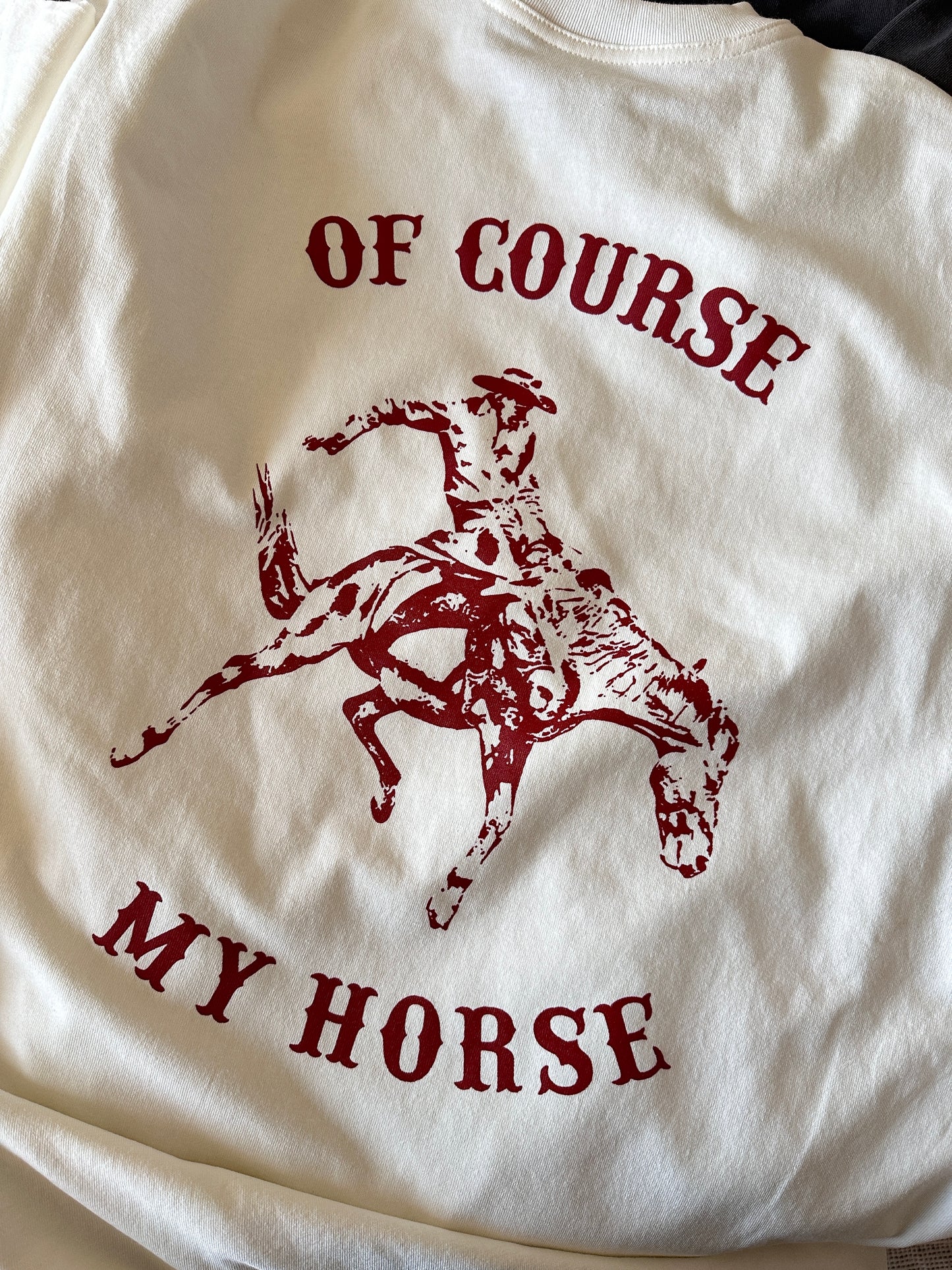 OF COURSE MY HORSE