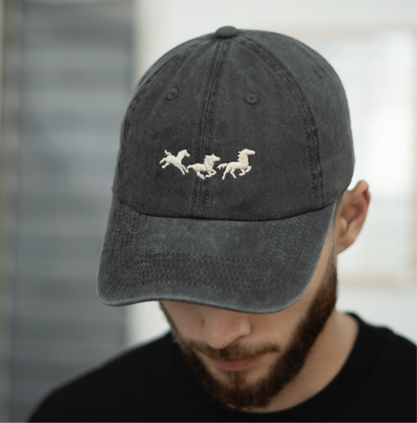 horses running