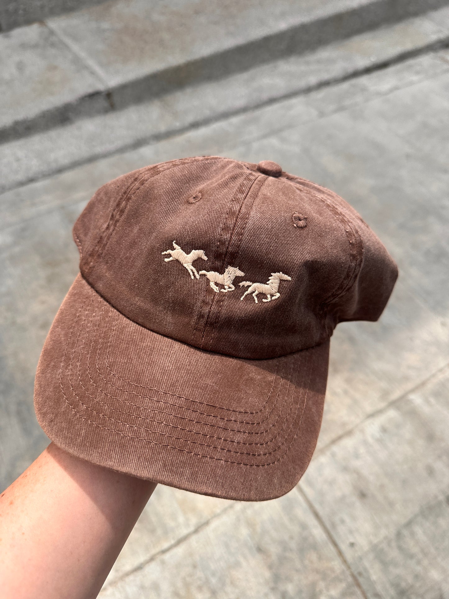 horses running